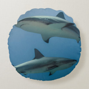 Coussins Ronds Requin des récifs des Caraïbes