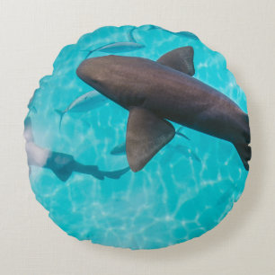 COUSSINS RONDS REQUINS SUR LE CORPS D'EAU
