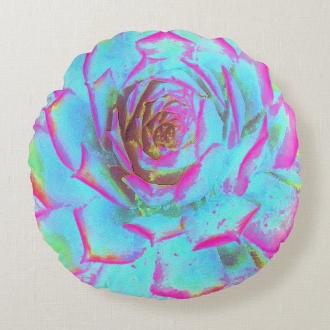 Coussins Ronds Rosette Succulente rose et bleu chaud (Devant)