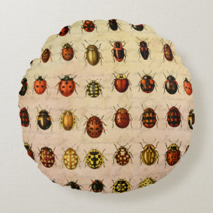 Coussins Ronds Spécimen de coccinelle vintage Motif Insecte antiq