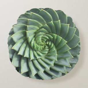Coussins Ronds Succulent en spirale de Polyphylla d'aloès