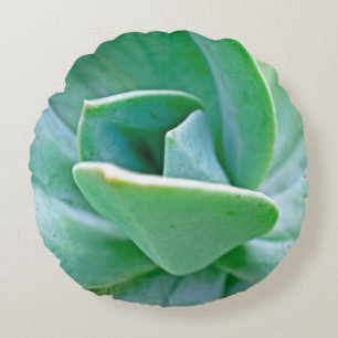 Coussins Ronds Swirl Succulent