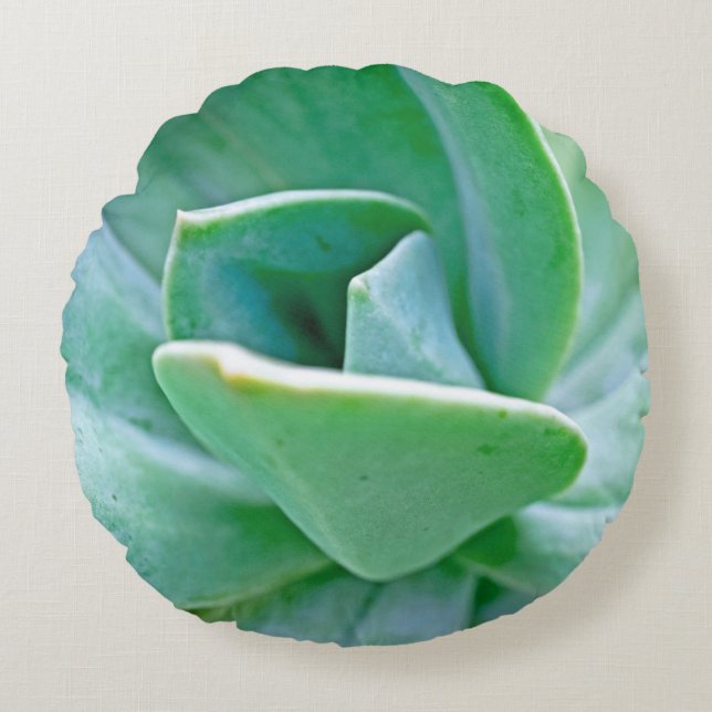 Coussins Ronds Swirl Succulent (Devant)