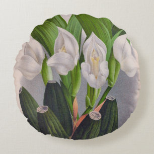 Coussins Ronds Vintage Orchidée blanche Anguloa Uniflora Lindenia