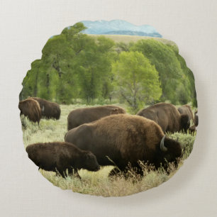 Coussins Ronds Wyoming Bison Nature Animal Photographie