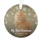 Couteaux De Neige Cute Photo Chat Mon Premier Noël