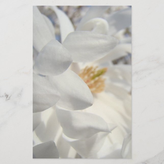 Coutume blanche de papeterie de fleur de magnolia (Devant)