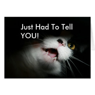 Coutume et énonciations grossières de chat