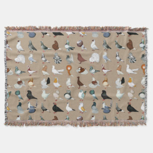 Couverture 36 races de pigeon