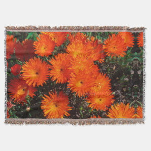 Couverture Afrique du Sud Vert Orange Fleurs Succulentes