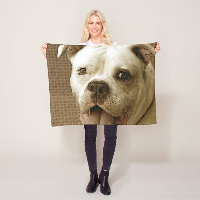 Couverture américaine d'ouatine de bouledogue (En situation)