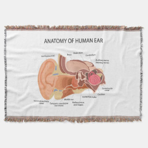 Couverture Anatomie des oreilles humaines