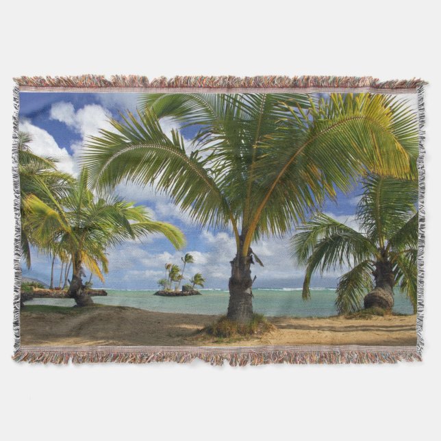 Couverture Arbres tropicaux (Devant)