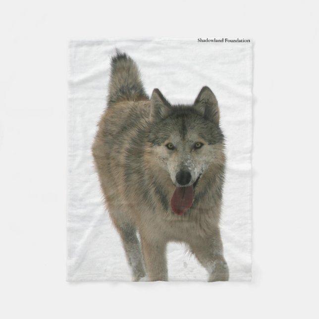 Couverture arctique d'ouatine de loup de liberté (Devant)