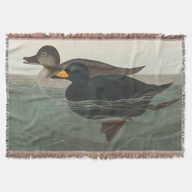 Couverture Audubon American Scoter Duck Classic (Devant)