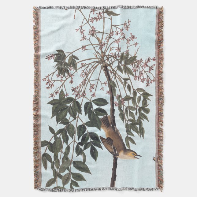 Couverture Audubon White Eyed Vireo Song Bird Art (devant Vertical)