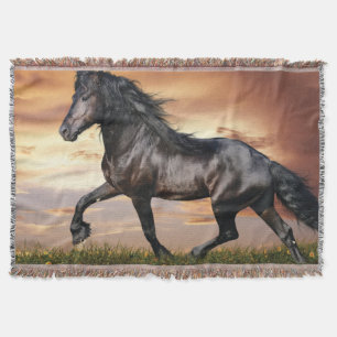 Couverture Beau Cheval Noir