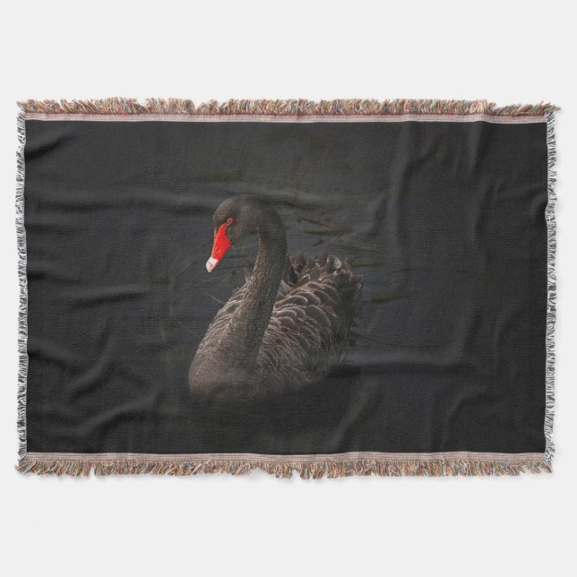 Couverture Beau cygne noir avec un bec rouge vif (Devant)