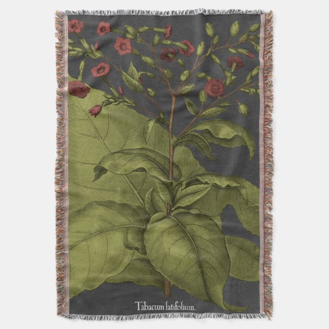 Couverture Besler Dramatique I (devant Vertical)