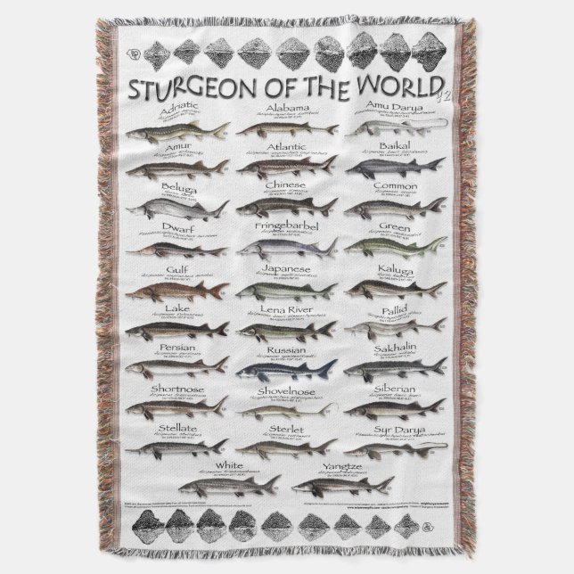 COUVERTURE BLANKET -STURGEON DU MONDE POSTER -PREMIER JAMAIS (devant Vertical)