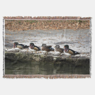 Couverture Bois de canard à tête plate