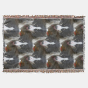 Couverture Bordure Collie Stare Chien Motif
