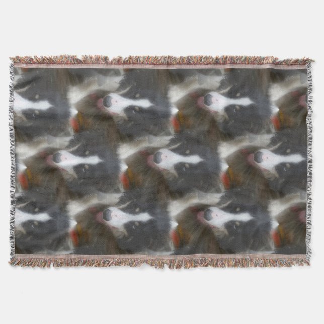 Couverture Bordure Collie Stare Chien Motif (Devant)