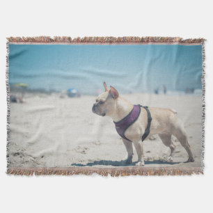 Couverture Bouledogue français sur la plage