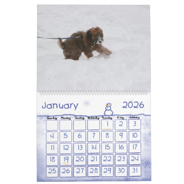 Couverture, calendrier d'Enzo (Jan 2026)
