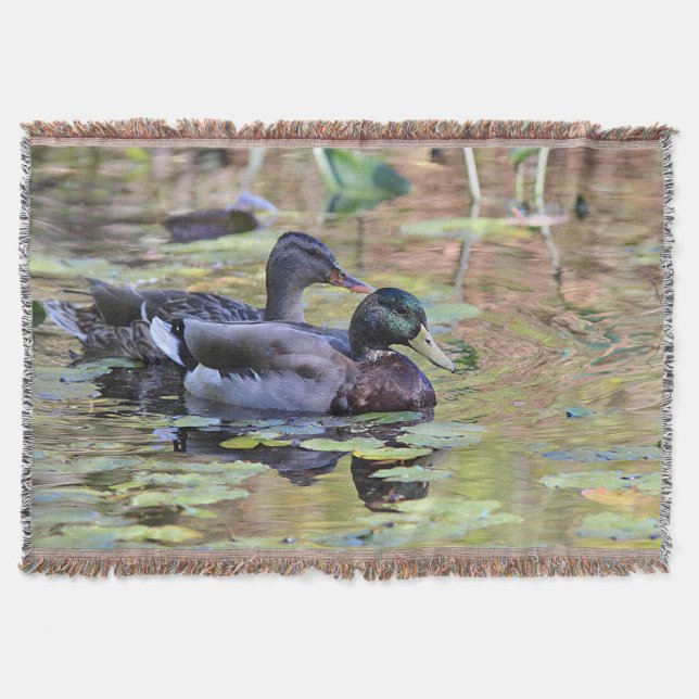 Couverture Canards de Mallard (Devant)