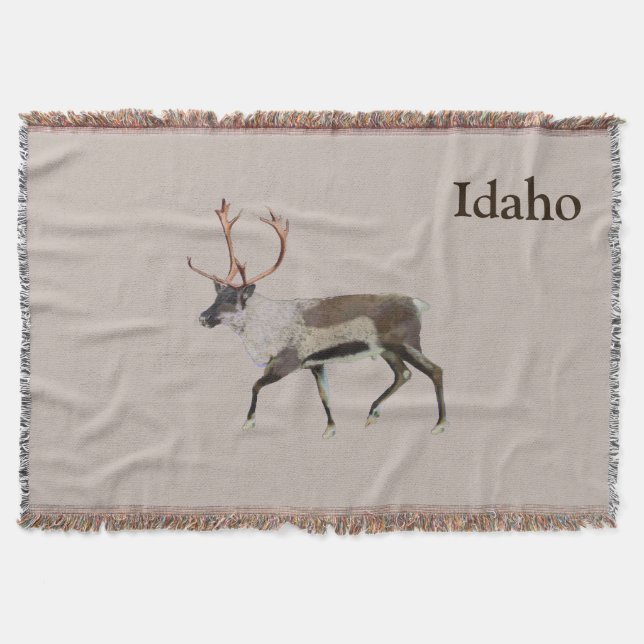 Couverture Caribou des bois (Devant)