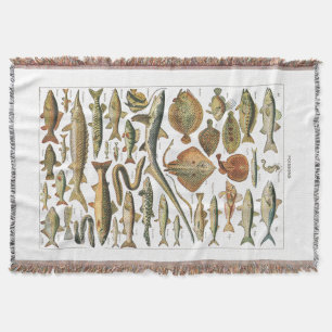Couverture Carte de poisson esthétique de biologie marine