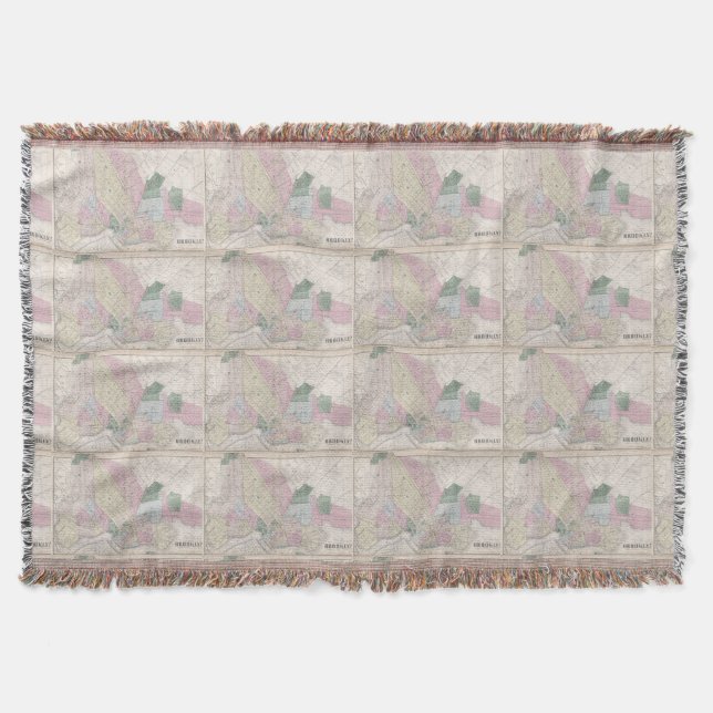 Couverture Carte vintage de Brooklyn (1873) (Devant)