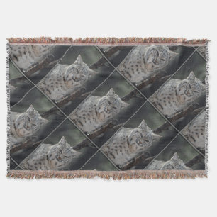 Couverture Chat sauvage de rampement