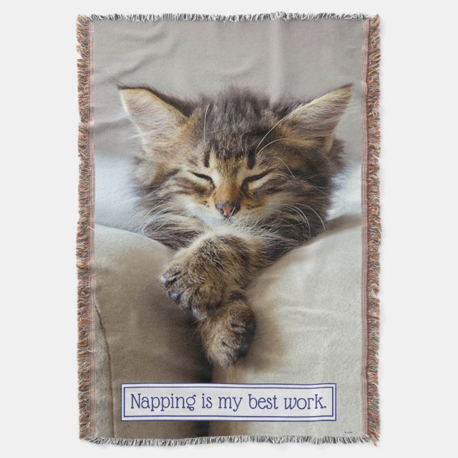 Couverture Chaton dormant (devant Vertical)