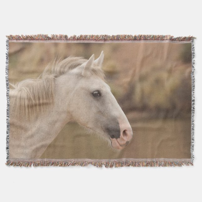 Couverture Cheval blanc (Devant)