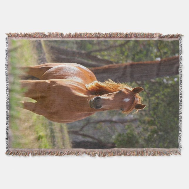 Couverture Cheval dans les bois (Devant)