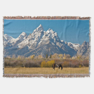 Couverture Cheval et Grand Tetons, Moose Head Ranch