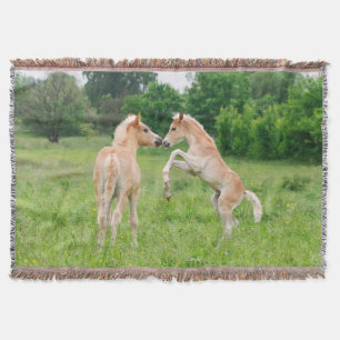 Couverture Chevaux Haflinger mignonette poulains de l'élevage