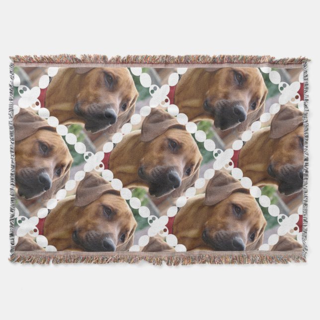 Couverture Chien de Rhodesian Ridgeback (Devant)