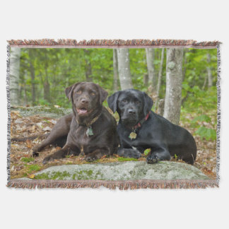 Couverture Chiens Chiens Marionnettes Black Lab Chocolat Labr