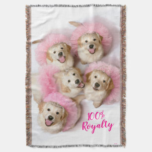 Couverture Chiens de Tiaras