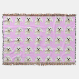 Couverture Chiot blanc de tzu maltais de Shih sur le rose