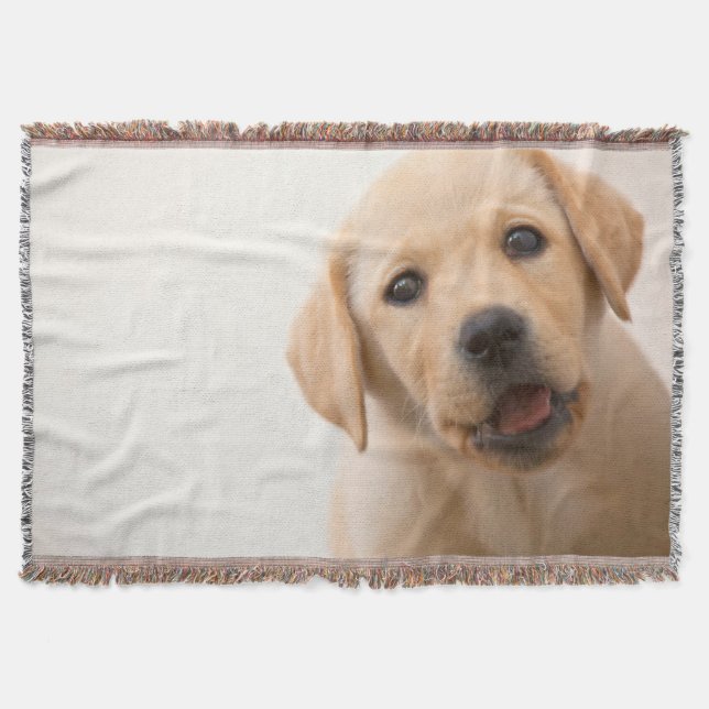 Couverture Chiot d'or de Labrador (Devant)