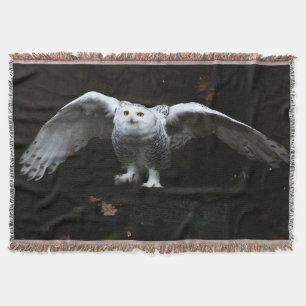 Couverture Chouette à neige avec ailes ouvertes tbcn