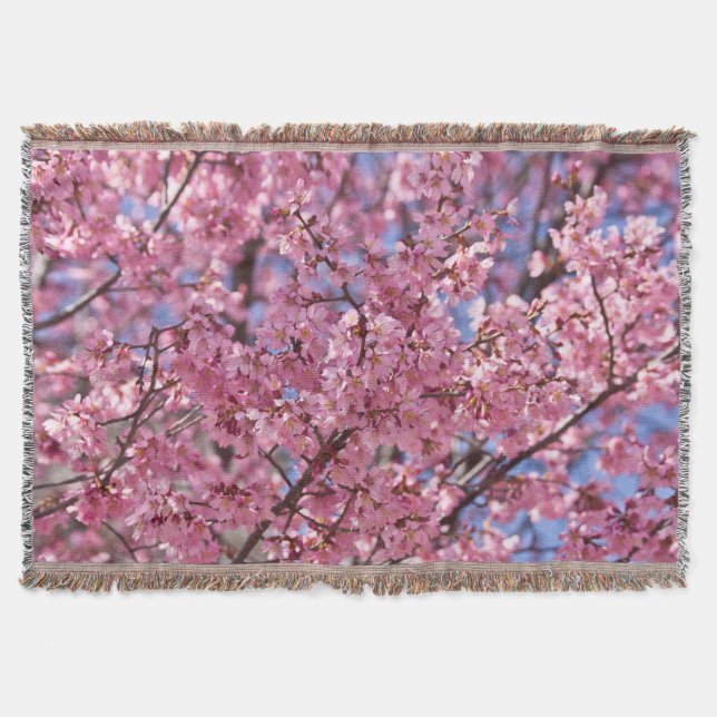Couverture Ciel de fleur de cerisier rose (Devant)