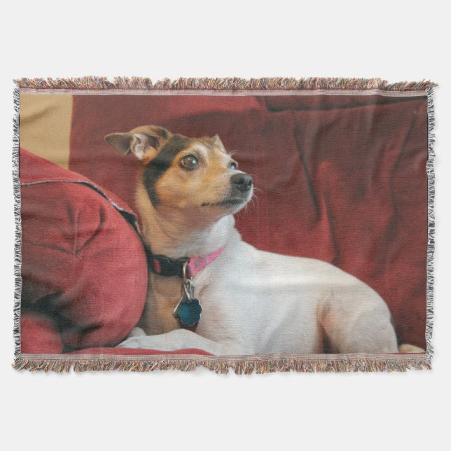 Couverture Classique (Devant)