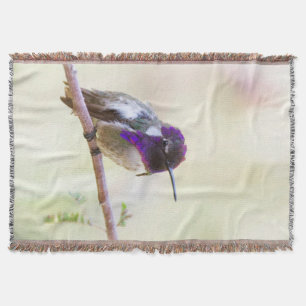 Couverture Colibri de Costa perché sur une branche