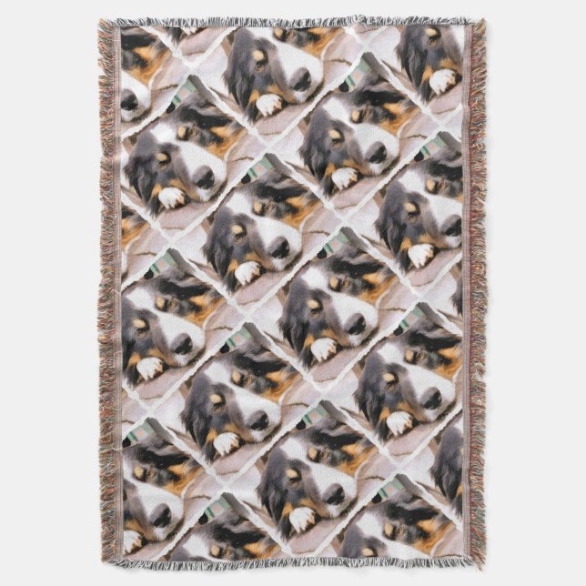 COUVERTURE COLLIE FRONTALIÈRE (devant Vertical)