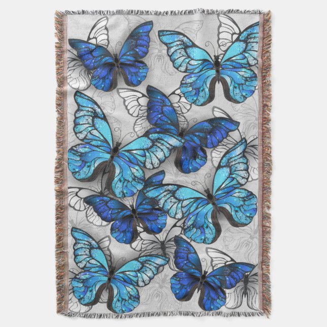 Couverture Composition des White and Blue Butterflies (devant Vertical)